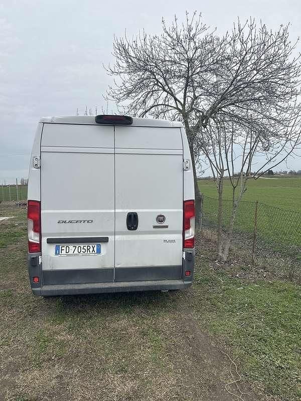 Usata Fiat Ducato 177 CV (130 kW) 2016 Furgone