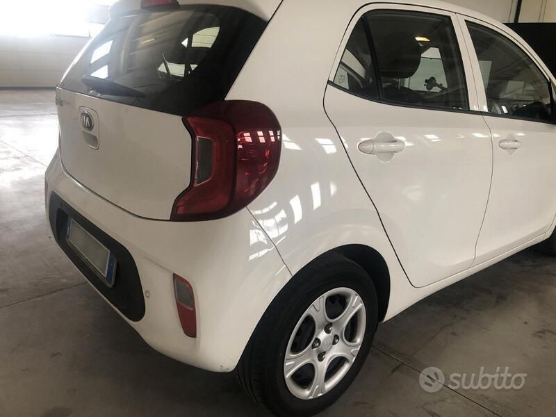 Usata Kia Picanto 67 CV (49 kW) 2019 Bianco Utilitaria