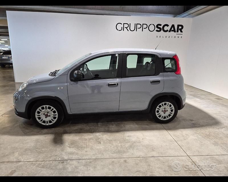 Usata Fiat Panda S 70 CV (51 kW) 2022 Grigio Utilitaria