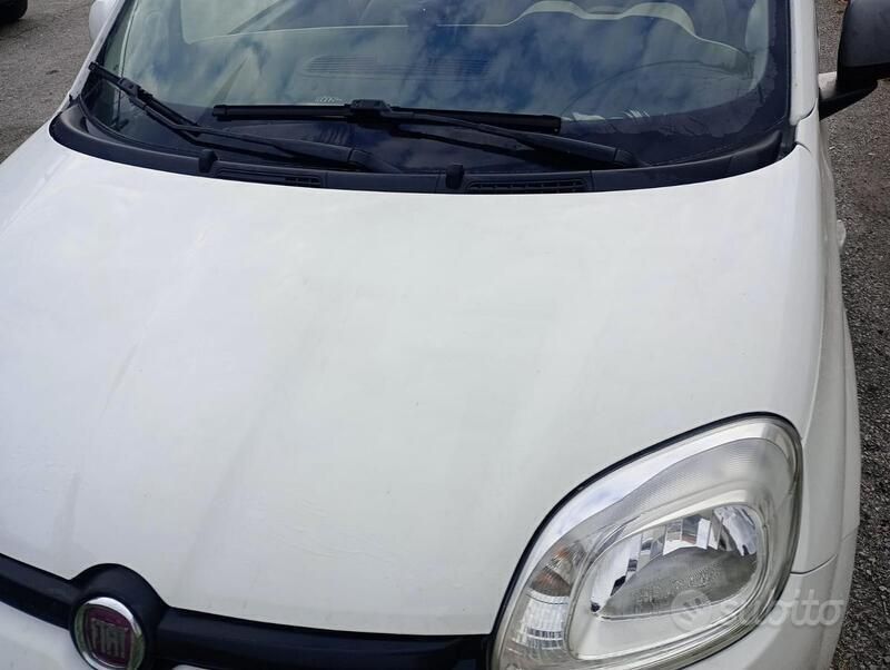 Usata Fiat Panda 80 CV (58 kW) 2014 Utilitaria