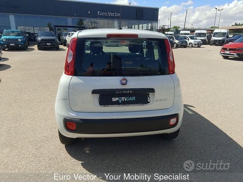 Usata Fiat Panda Launch Edition 69 CV (50 kW) 2020 Bianco Utilitaria