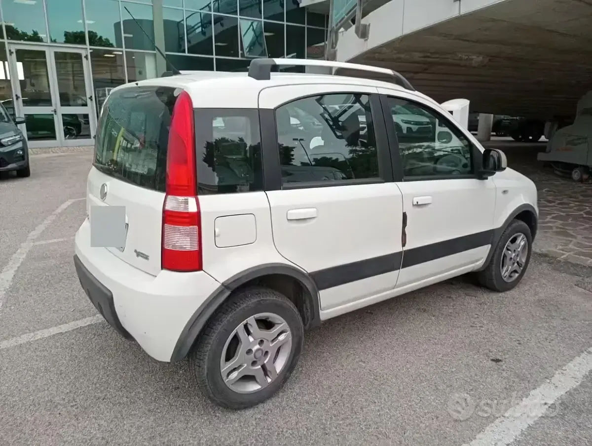 Usata Fiat Panda 60 CV (44 kW) 2010 Bianco Utilitaria