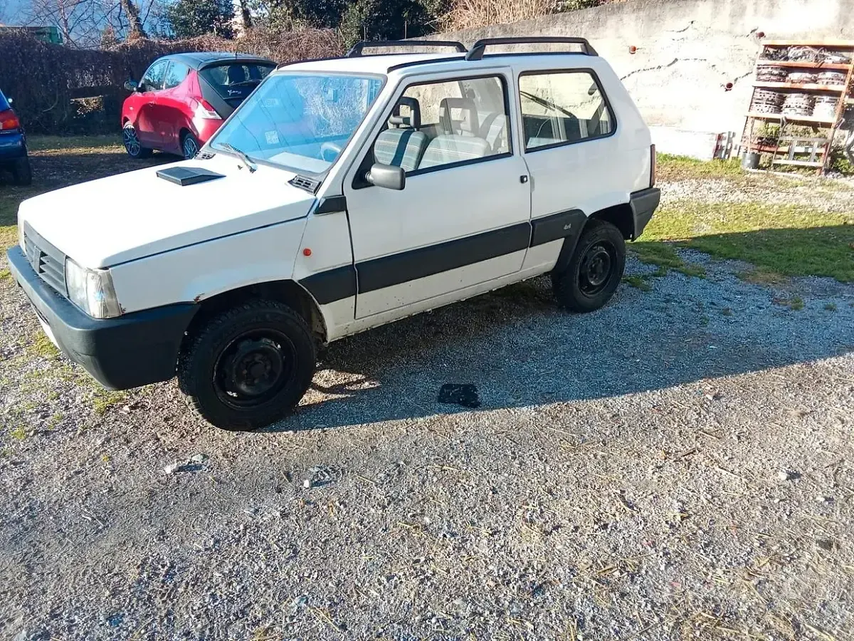 Usata Fiat Panda 4x4 68 CV (50 kW) 2008 Bianco Utilitaria
