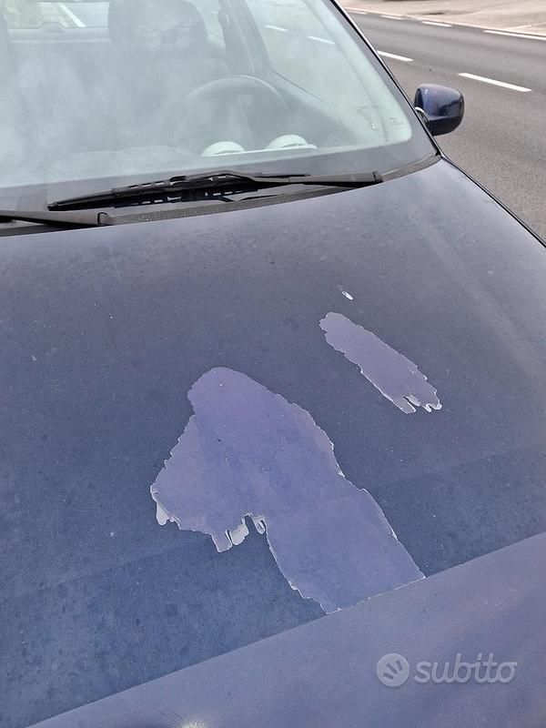 Usata VW Polo 70 CV (51 kW) 2000 Blu Utilitaria