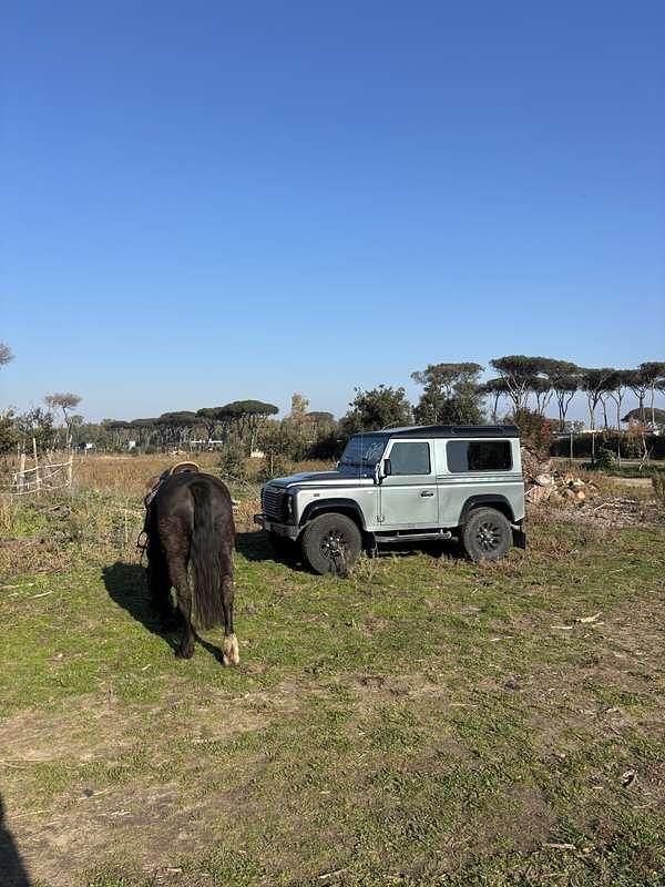 Usata Land Rover Defender SE 122 CV (89 kW) 2014 Station wagon
