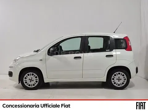 Usata Fiat Panda Lounge 95 CV (69 kW) 2016 Bianco Utilitaria