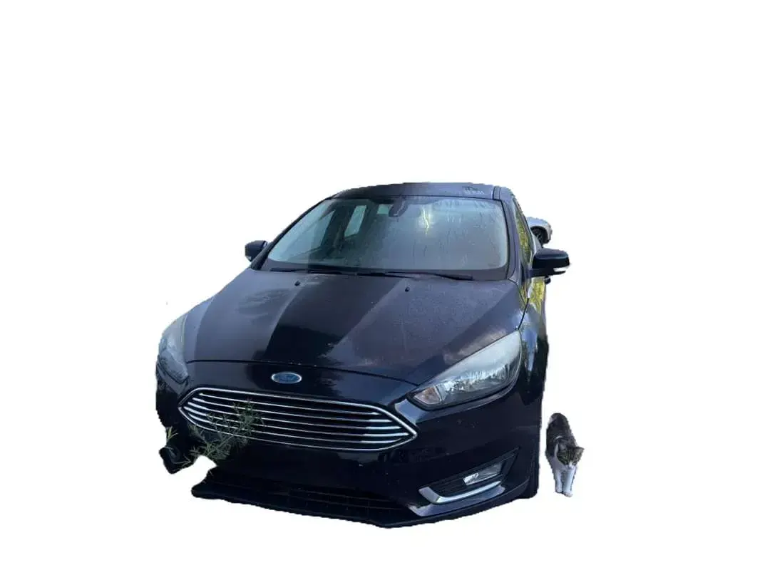 Usata Ford Focus Titanium S 120 CV (88 kW) 2015 Nero Station wagon