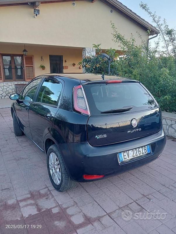 Usata Fiat Punto 77 CV (56 kW) 2014 Blu Utilitaria