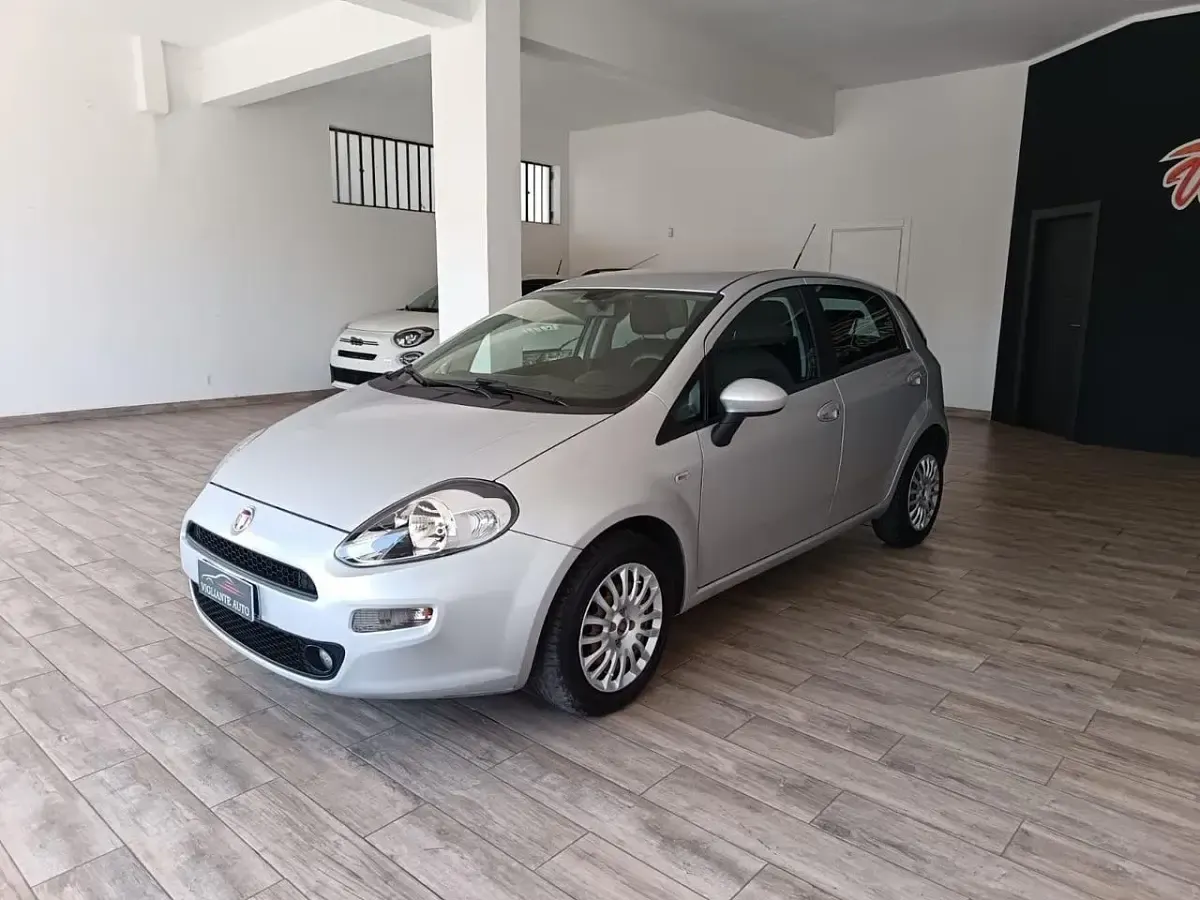Usata Fiat Punto Lounge 85 CV (62 kW) 2014 Grigio Utilitaria