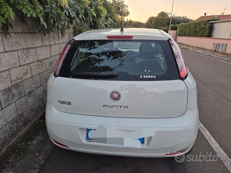 Usata Fiat Punto 77 CV (56 kW) 2012 Bianco Utilitaria