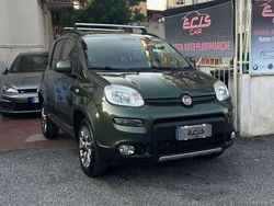 Verde Usata 2017 Fiat Panda 4x4 Due volumi | 9500 € (Ottimo prezzo)
