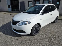 Bianco Nuova 2024 Lancia Ypsilon S Due volumi | 16.200 € (Buon prezzo)