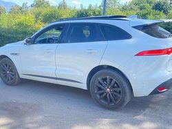 Bianco Usata 2019 Jaguar F-Pace SUV | 16.000 €
