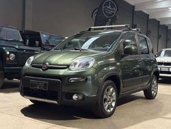 Verde metallizzato Usata 2013 Fiat Panda 4x4 S Due volumi | 13.900 € (Molto cara)