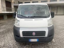 Bianco Usata 2014 Fiat Ducato Furgone | 7700 € (Super prezzo)