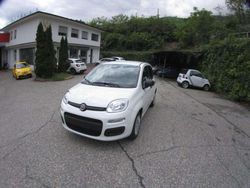Bianco Nuova 2025 Fiat Grande Panda S Due volumi | 14.700 € (Buon prezzo)