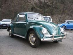 Verde Usata 1963 VW Maggiolino Tre volumi | 22.500 €