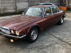 Marrone Usata 1981 Jaguar XJ6 Tre volumi | 10.000 €