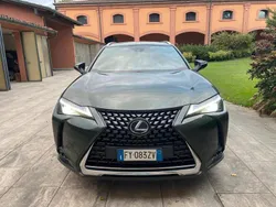 Verde Usata 2019 Lexus UX Executive Line SUV | 22.800 € (Molto cara)