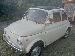 Bianco Usata 1960 Fiat 500L Monovolume | 8000 €