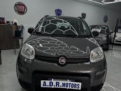 Grigio Usata 2021 Fiat Panda Tre volumi | 8950 € (Buon prezzo)