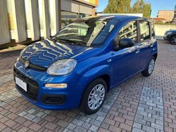 Blu italia Nuova 2025 Fiat Grande Panda Icon Due volumi | 13.950 € (Buon prezzo)