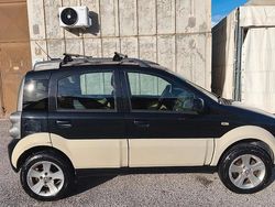 Usata 2010 Fiat Panda Cross | 5000 €