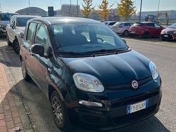 Nero Usata 2020 Fiat Panda Tre volumi | 5800 € (Ottimo prezzo)