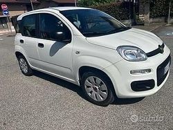 Bianco Usata 2013 Fiat Panda Due volumi | 8000 € (Molto cara)