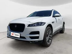 Bianco Usata 2017 Jaguar F-Pace Pure SUV | 14.500 € (Super prezzo)
