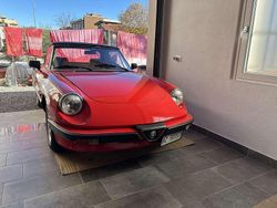 Usata 1985 Alfa Romeo Spider Cabrio | 22.000 €