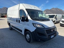 Bianco Usata 2020 Fiat Ducato Furgone | 13.900 € (Cara)