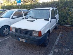 Usata 2000 Fiat Panda Young | 1200 €