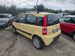 Giallo Usata 2010 Fiat Panda Climbing Tre volumi | 4900 € (Cara)