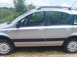 Argento Usata 2005 Fiat Panda 4x4 Due volumi | 4600 € (Buon prezzo)