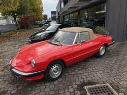 Rosso alfa Usata 1984 Alfa Romeo Spider Cabrio | 29.984 €