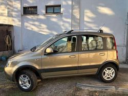 Beige Usata 2010 Fiat Panda 4x4 Climbing Due volumi | 8400 € (Cara)