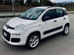 Bianco Usata 2012 Fiat Panda Easy Due volumi | 5700 € (Buon prezzo)