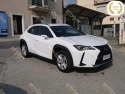 Bianco(met.) Usata 2021 Lexus UX 300e Business Edition SUV | 20.800 €