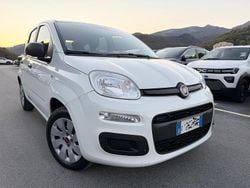 Bianco Usata 2019 Fiat Panda Tre volumi | 9850 € (Buon prezzo)