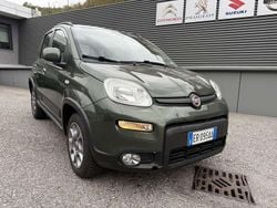 Verde Usata 2013 Fiat Panda 4x4 S Due volumi | 9000 € (Cara)