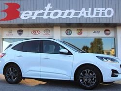 Bianco Usata 2023 Ford Kuga ST-Line SUV | 20.700 € (Ottimo prezzo)