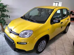 Nero Usata 2023 Fiat Panda S Due volumi | 10.650 € (Ottimo prezzo)