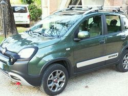 Verde Usata 2017 Fiat Panda Cross Cross Due volumi | 15.500 € (Cara)