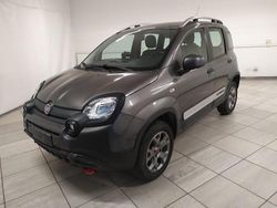 Grigio Usata 2019 Fiat Panda 4x4 S Due volumi | 12.990 € (Molto cara)