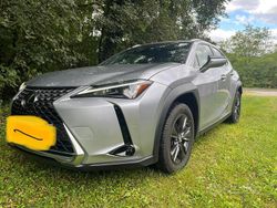 Grigio Usata 2023 Lexus UX SUV | 29.500 € (Cara)