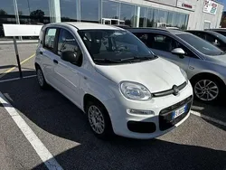 Bianco Usata 2017 Fiat Panda Easy Due volumi | 9850 € (Buon prezzo)