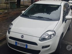 Bianco Usata 2012 Fiat Punto Due volumi | 6500 € (Cara)