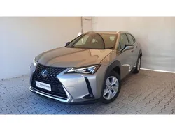 Grigio(met.) Usata 2022 Lexus UX 300e Business Edition SUV | 18.985 €