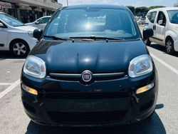Nero Usata 2020 Fiat Panda Lounge Due volumi | 9900 € (Buon prezzo)